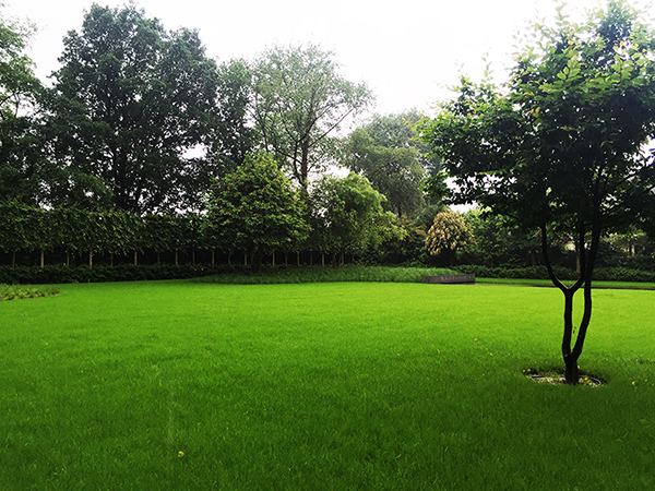 Gazon, pelouse, Entreprise de jardin Brabant-Wallon Hainaut Belgique